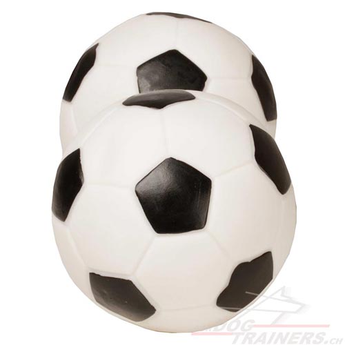 hunde ball schweiz
