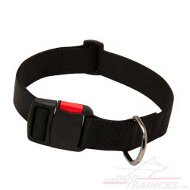 Collier synthtique de promenade et de dressage pour
            chien