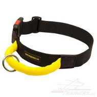 Collier avec
poigne pour chien