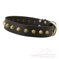 Collier en cuir élégant TOP pour chien Collier de promenade étroit pour
chien
