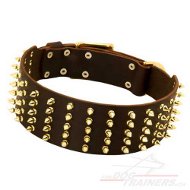 Collier en cuir C92 dcor confortable pour gros
chien