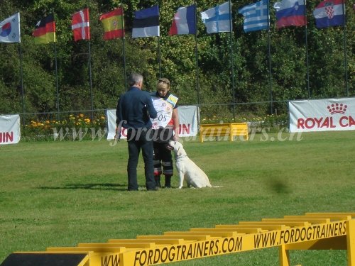Campagne - sport canin Campagne - Exercice Obéissance