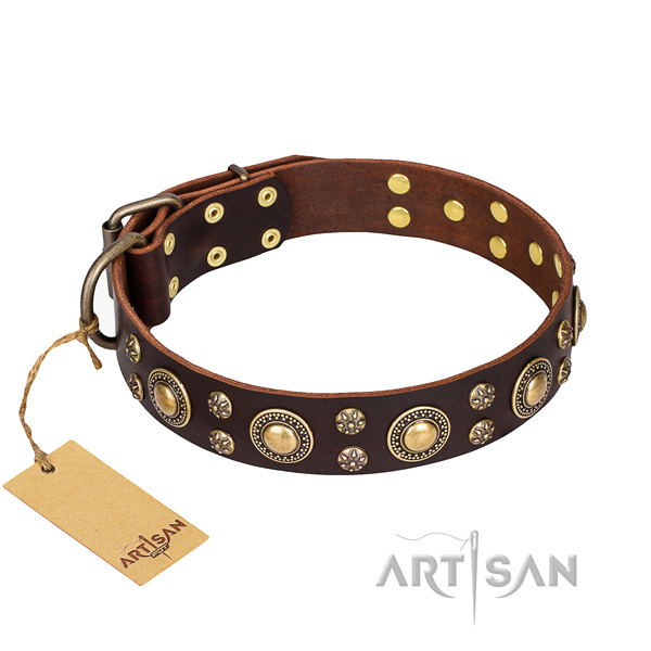 Collier de haute qualit� pour chien