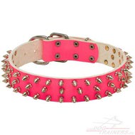 Collier en cuir rose pour
chienne Collier pour une belle chienne