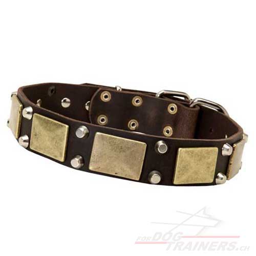 Collier en cuir vritable pour chien