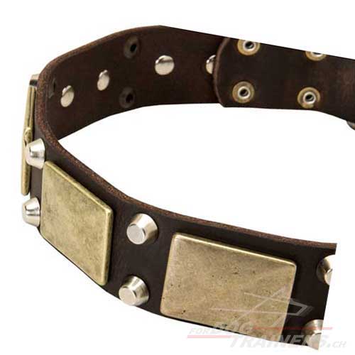 Collier d'exposition en cuir pour chien