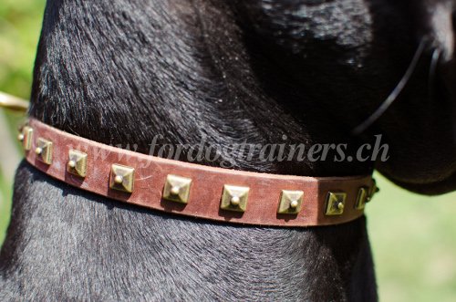 Collier troit pour chien