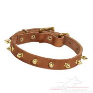 Collier
clouté pour chien Collier pour chien de toutes tailles