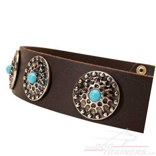 Collier solide et joli pour chien
