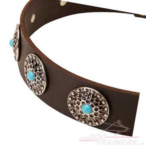Collier ultra mode pour chien