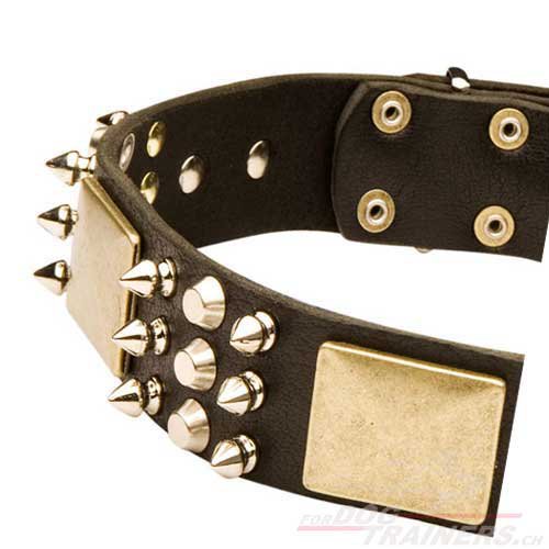 Collier de qualité pour chien