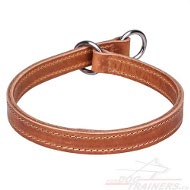 Collier pour chien ducation Facile