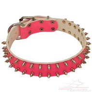 Collier rose chic NEW pour chien Collier en cuir rose clouté pour chienne