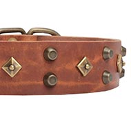 Collier Éducation & Promenades pour chien Collier en cuir de meilleure qualité pour chien