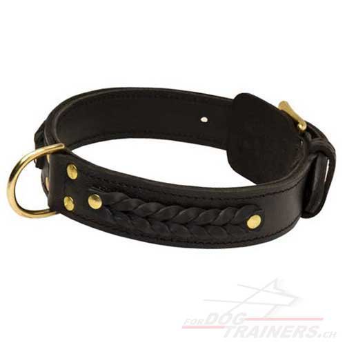 Collier en cuir confort pour chien
