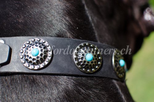 Collier luxe pour chien Collier d'exposition décoré
pour chien