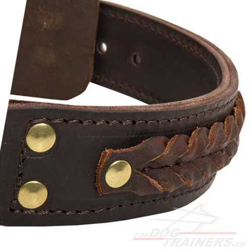 Collier d'une longue dure de vie pour chien