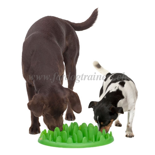 Gamelle
interactive pour chien