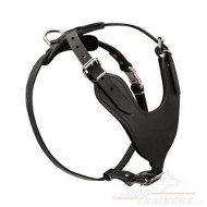 Harnais
pour chien d'utilit