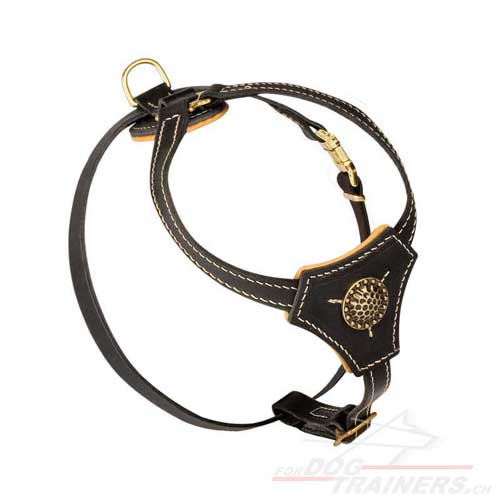 Harnais en cuir pour chien de petite taille