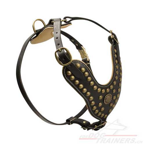 Harnais cuir design exclusif pour chien