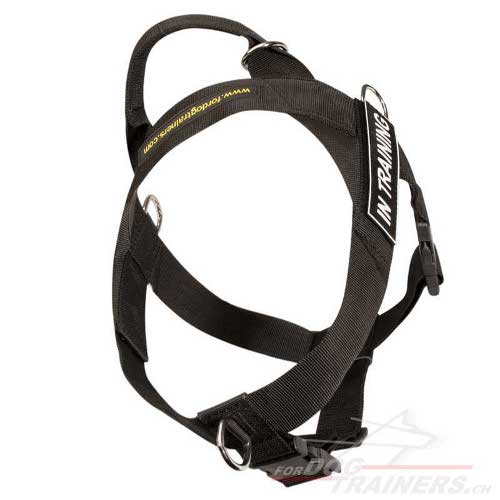 Harnais synthtique pour Bouledogue amricain Bon prix