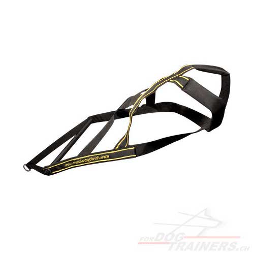 Harnais sportif de traction pour chien