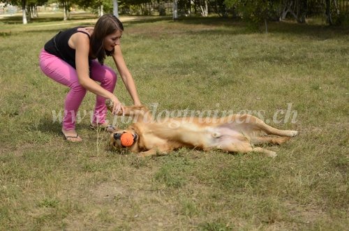 Jouer avec son chien Jouets pour chien