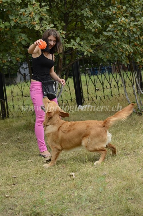 Jouets pour chiot et chien