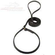 Laisse en cuir + collier pour chien Laisse de dressage et de promenade en cuir pour chien désobéissant