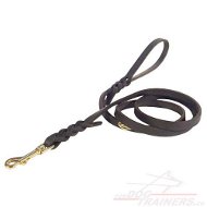 Laisse universelle pour chien Laisse en cuir professionnelle
pour chien