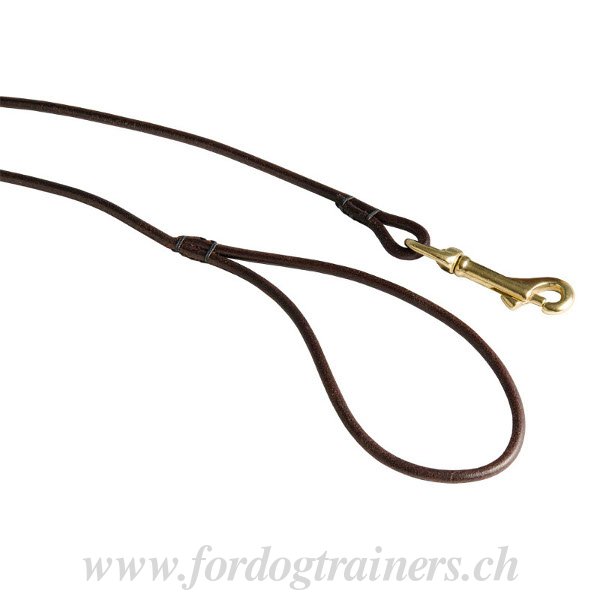 Laisse pour expositions canines