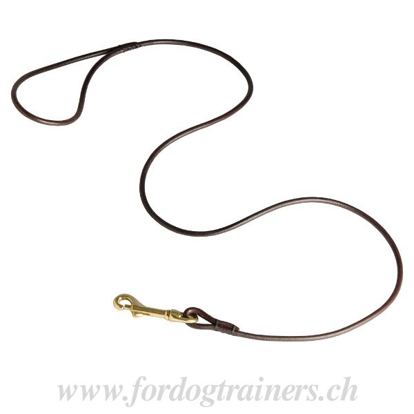 Laisse de haute qualit pour chien Stylish dog