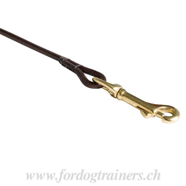 Laisse cuir pour chien TOP Qualit