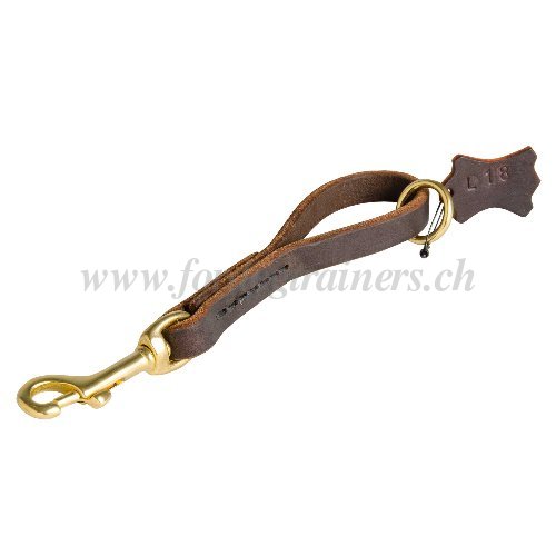 Laisse extra courte pour chien