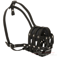 Muselire universelle pour chien