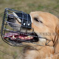 Golden Retriever Maulkorb aus Draht, Beste Qualität