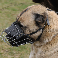 Maulkorb aus Draht für Training mit Kaukasischen Schäferhund