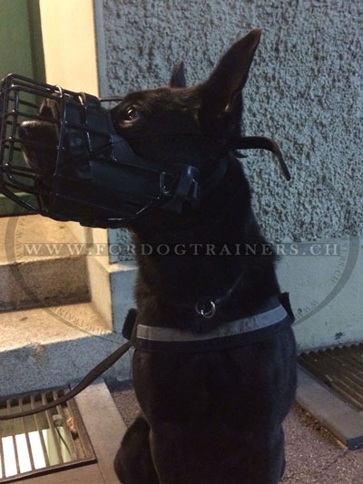 Muselire panier pour chien couvert de caoutchouc