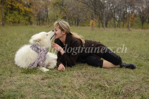 Psychologie animale dans l'education
canine