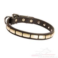 Collier digne de votre
chien Collier en cuir décoré des
plaques en laiton pour chien