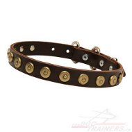 Collier
fantaisie pour chien