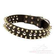 Collier en cuir S57 dcor digne de votre chien