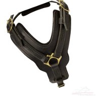 Hundegeschirr Schweiz | Hundegeschirr Leder Schweiz