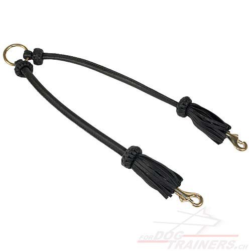 leder hundeleine 2 hunde kaufen