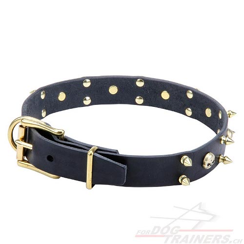 Hundehalsband fr Hundeausbildung