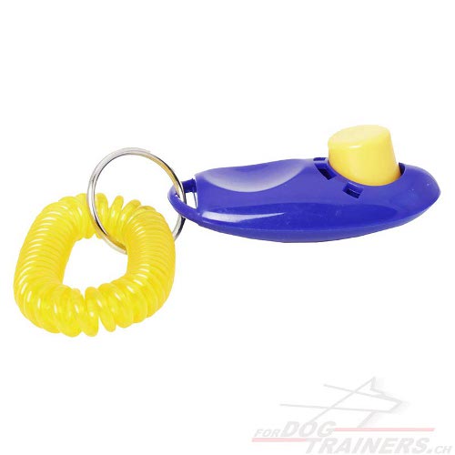 hundetraining knopf-clicker schweiz