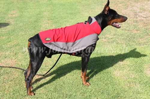 Dobermann hundemantel schweiz