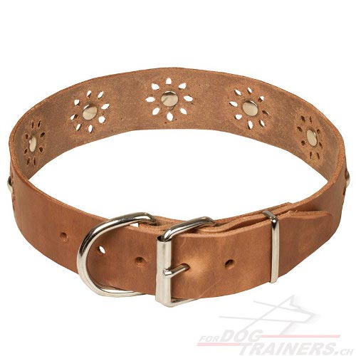 leder
halsband blumen schweiz