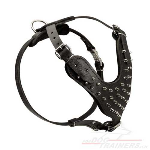 geschirr hund nickel-spikes schweiz